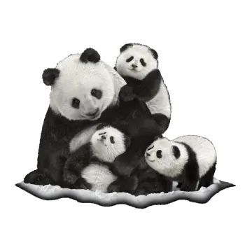 a group of panda bears sitting on top of each other bears