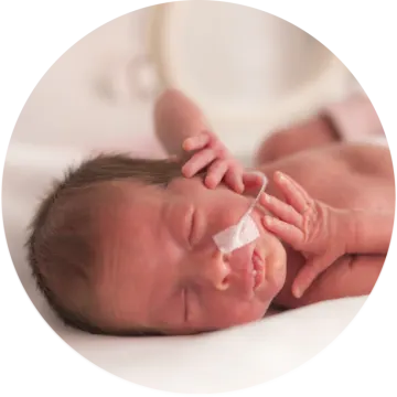 a baby is being fed by its mother