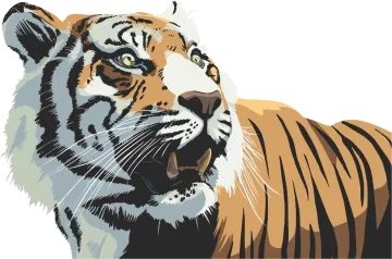 a tiger with its mouth open