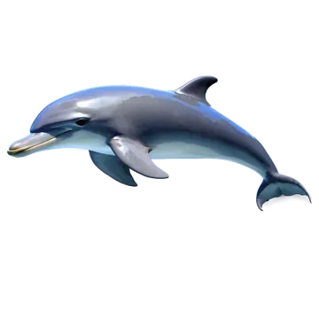 a dolphin jumping in the air on a white background