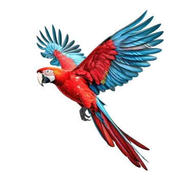 a red and blue parrot flying through the air