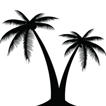 two palm trees on a white background