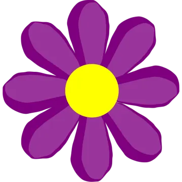 a purple flower with yellow center