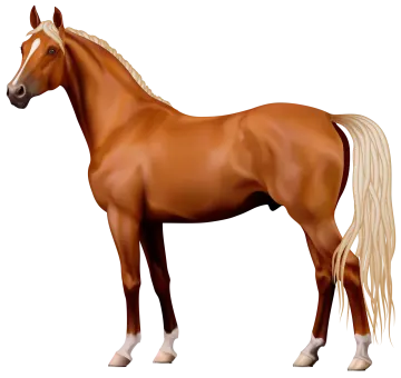 a brown horse with long blonde hair