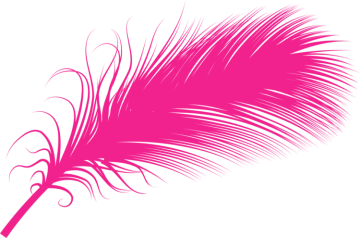 a pink feather on white background