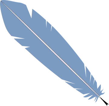 a blue feather on a white background