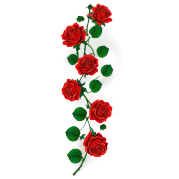 three red roses on a white background