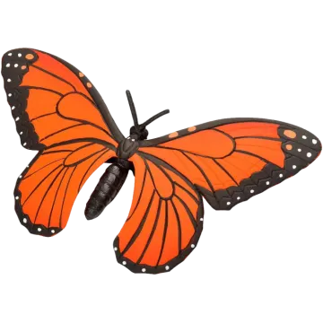 a large orange butterfly with black wings