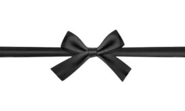 a black bow on a white background