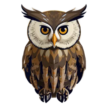 an illustration of an owl with big eyes