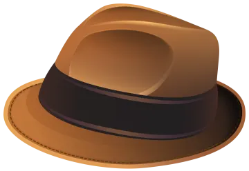 a brown hat