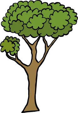 a tree with green leaves on it