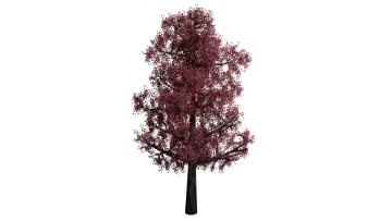 a tree with red leaves on it's branches