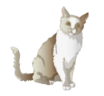 a gray and white cat sitting on the ground