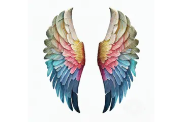 two colorful wings on a white background