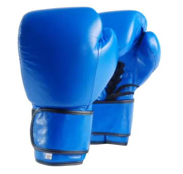 a pair of blue boxing gloves