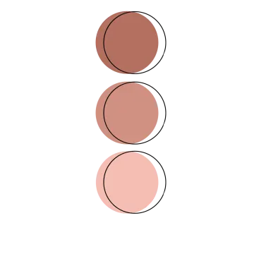 three circles with one circle in the middle