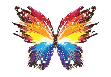 a colorful butterfly on a white background