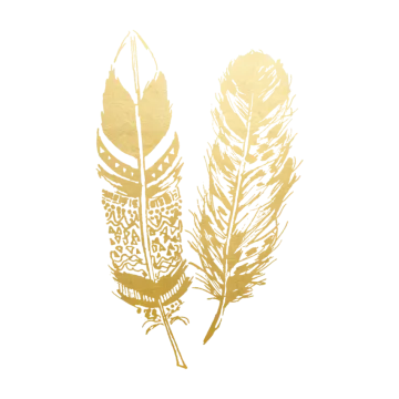 two gold feathers on a white background