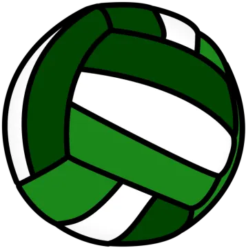 a green and white volleyball ball