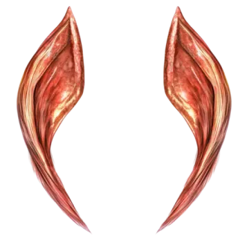 an image of a pair of wings