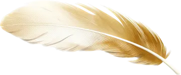 a golden feather on white background