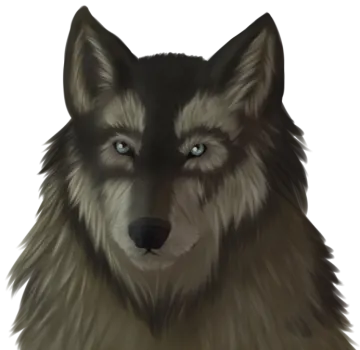 a drawing of a wolf with blue eyes