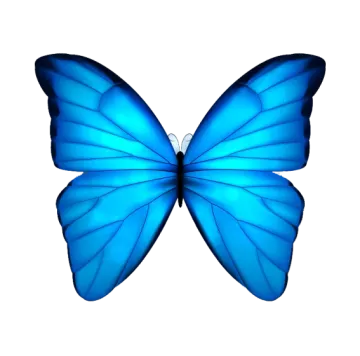 a blue butterfly on white background