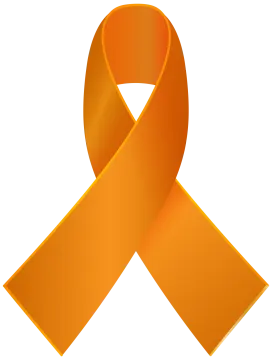 an orange ribbon on a white background