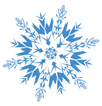 an image of a snowflorer