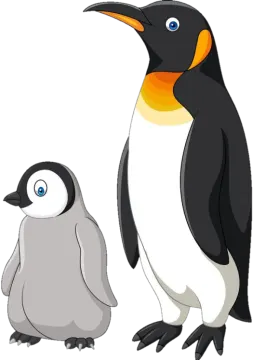 a penguin and its baby
