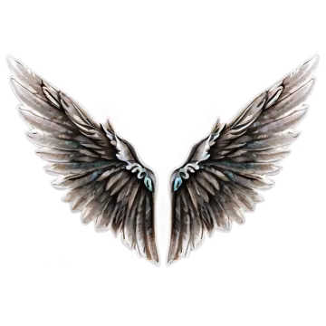 a pair of wings on a white background