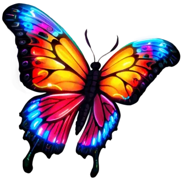 a colorful butterfly on white background