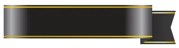 a black and gold ribbon on a white background