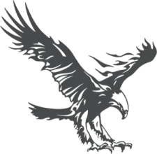 an eagle flying with its wings spread out