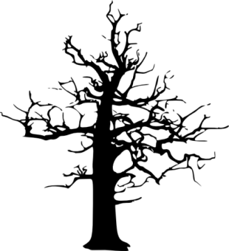 a black and white silhouette of a tree