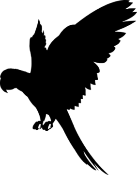a black and white silhouette of an eagle