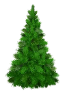a green christmas tree on a white background