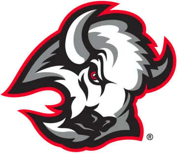 the logo of the university of wisconsin