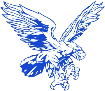 a drawing of an eagle with wings