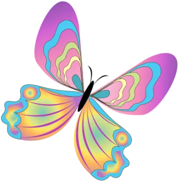 a colorful butterfly on a white background