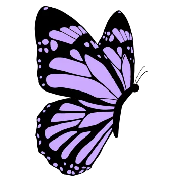 a purple butterfly on a white background