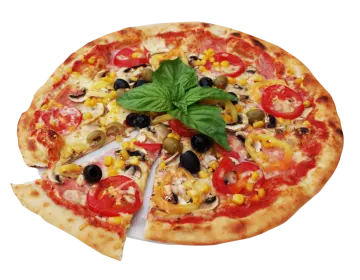 a close up of a pizza on a white background