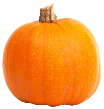 an orange pumpkin on a white background