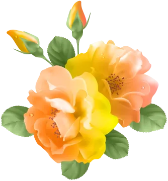 a bunch of orange and yellow flowers