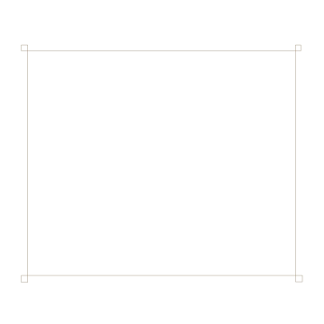 a square frame with a white background