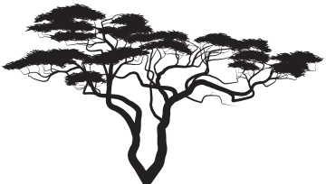 a black and white silhouette of a tree