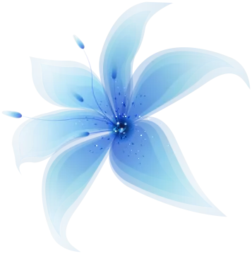 blue flower on white background