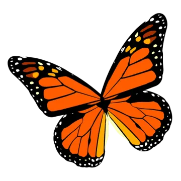 a monarch butterfly clipart