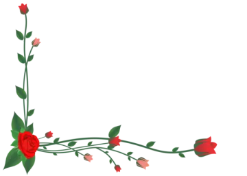 a frame with red roses on it